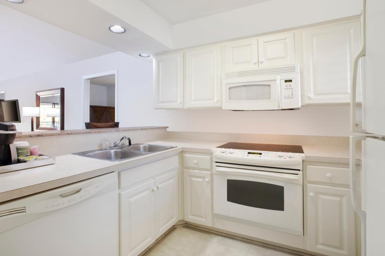 Saddlebrook Golf Resort & Spa Tampa North-Wesley Chapel Esterno foto