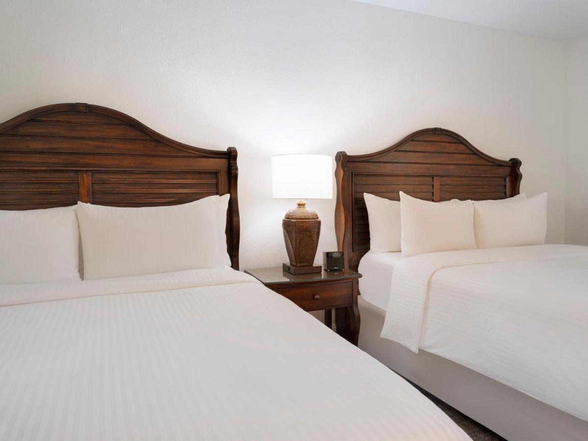 Saddlebrook Golf Resort & Spa Tampa North-Wesley Chapel Esterno foto
